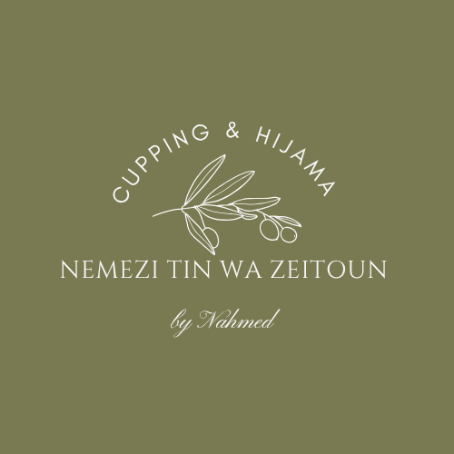 logo-nemezi-khalil-nahmed